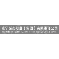 咸宁城市发展(集团)有限责任公司
